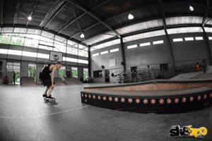 Fakie-5oflip sequence sk8bro.gif  